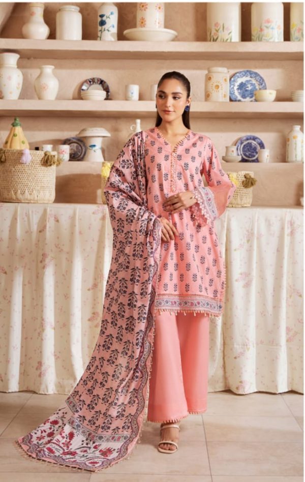 Mausummery Latest vol 4 2025 - Image 8