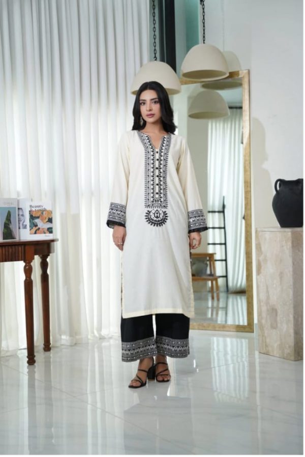 🎗️ DHAGA 🎗️ R-t-w Embroidred2 Piece Collection - Image 6