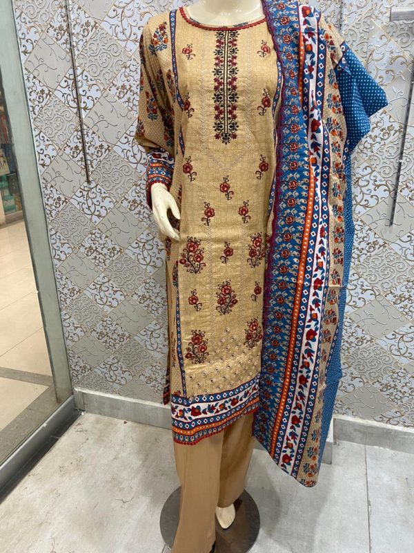 Elevate your style with Embroidered Chicken Kari Cutwork Dupatta 3-Piece Stitched Set - Image 3