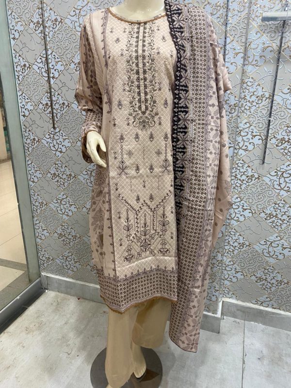 Elevate your style with Embroidered Chicken Kari Cutwork Dupatta 3-Piece Stitched Set - Image 4