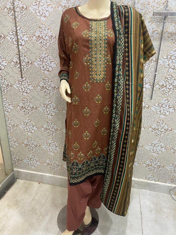 Elevate your style with Embroidered Chicken Kari Cutwork Dupatta 3-Piece Stitched Set - Image 7