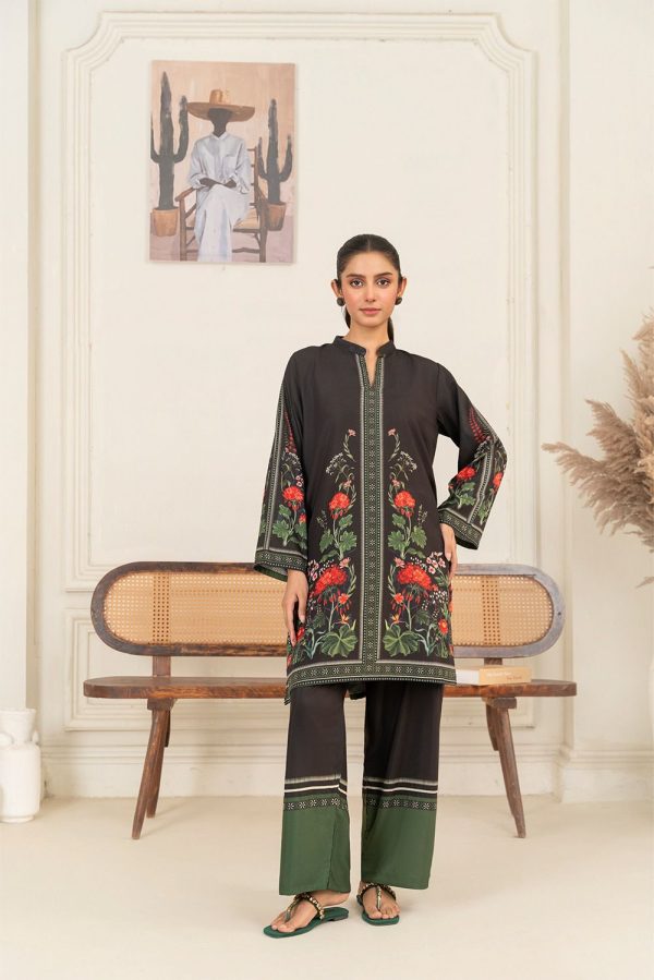 DAILY WEAR R-t-w Luxury Printed 2 Piece Collection